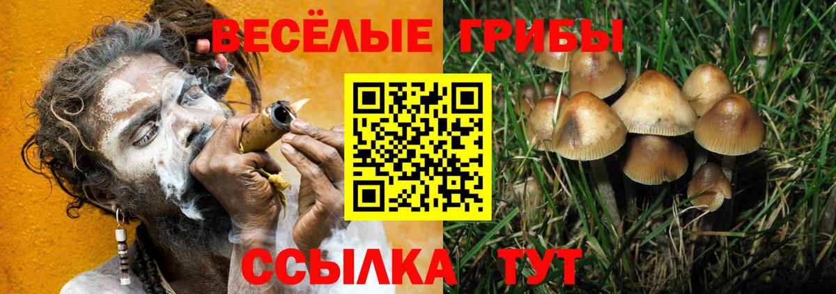 Черняховск  Галлюциногенные грибы прущие грибы  Вход с VPN  Галлюциногенные грибы GOLDEN TEACHER 