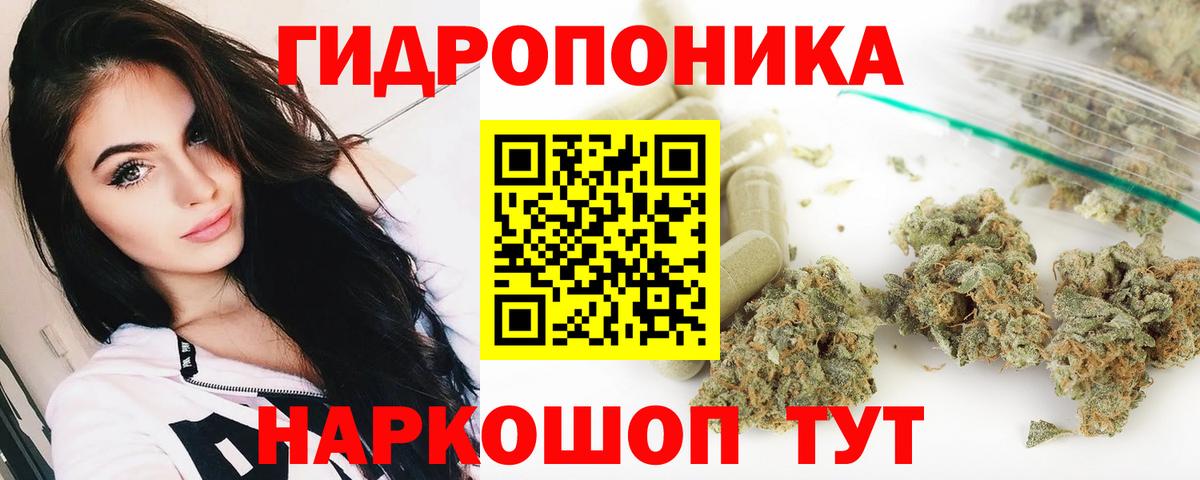 Бошки Шишки сатива  МАРИХУАНА гибрид  Вход с VPN  Черняховск  Шишки марихуана Bruce Banner  Канабис марихуана 